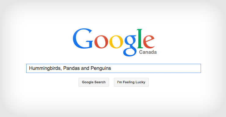 Hummingbird, Panda, Penguin - Google's Algorithms and How They Differ